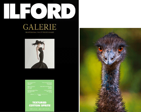 ILFORD Textured Cotton Sprite fotópapír