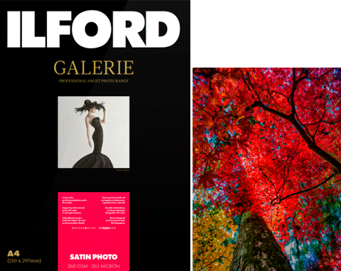 ILFORD Satén fotópapír